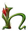 http://hinhnenhot.24h.com.vn/img/0/12310.jpg