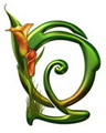 Chu cai sanh dieu - Q