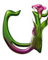 http://hinhnenhot.24h.com.vn/img/0/12323.jpg