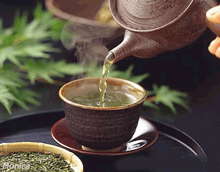 Cup of Tea (Song ngữ) | Gia Đình Phật Tử Việt Nam Trên Thế Giới